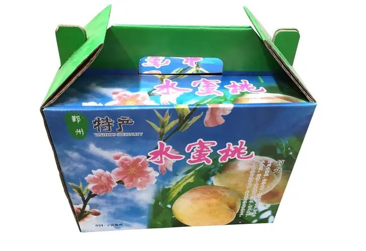 西(xī)安紙箱案例展(zhǎn)示